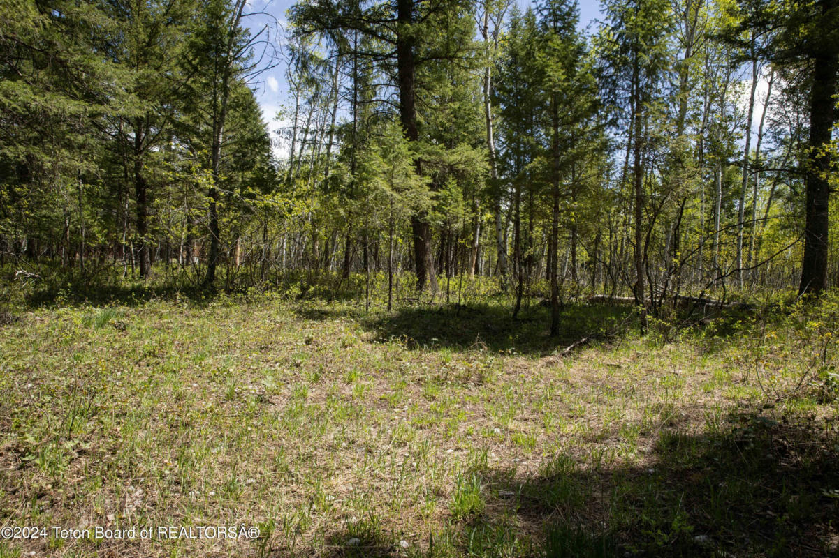 LOT 31/32 NORTH FOREST DRIVE, STAR VALLEY RANCH, WY 83127, photo 1 of 13