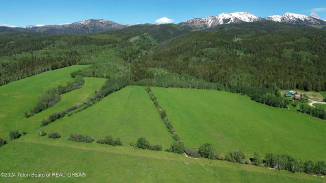 40 ACRES E RIGBY ROAD, ALTA, WY 83414, photo 5 of 11