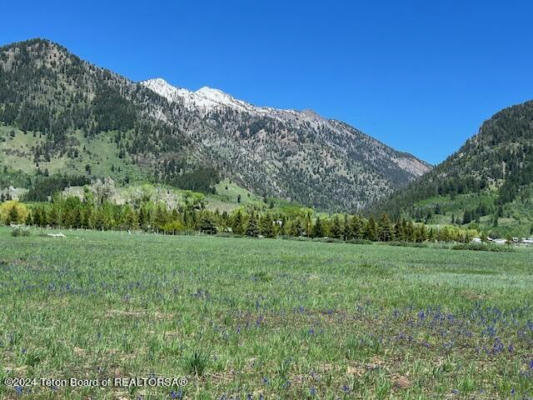 100 STRAWBERRY CREEK RD, BEDFORD, WY 83112 - Image 1