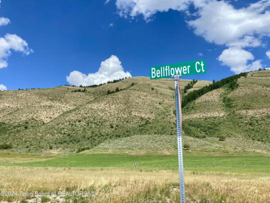 LOT 38 BELLFLOWER CT, AFTON, WY 83110 - Image 1