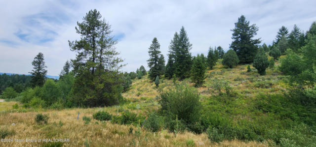 LOT 59 B4 CUTTROAT RUN, IRWIN, ID 83428 - Image 1