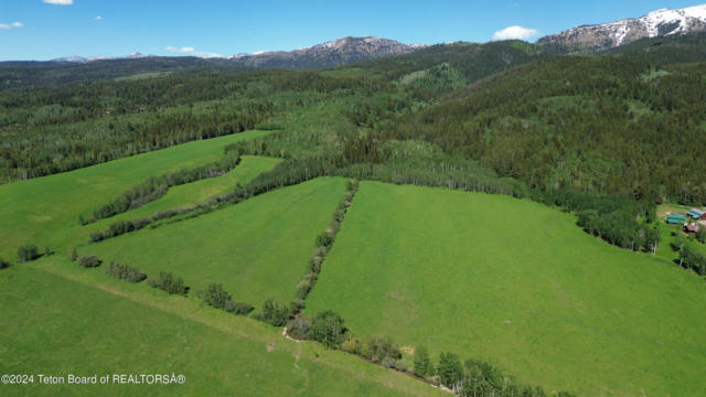 40 ACRES E RIGBY ROAD, ALTA, WY 83414, photo 2 of 11