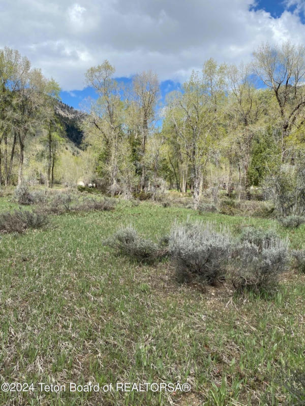 L 93 GC HARDMAN GOLF COURSE LOT, STAR VALLEY RANCH, WY 83127, photo 1 of 9
